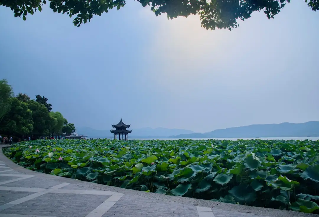 Hangzhou West Lake with traditional garden pavilion